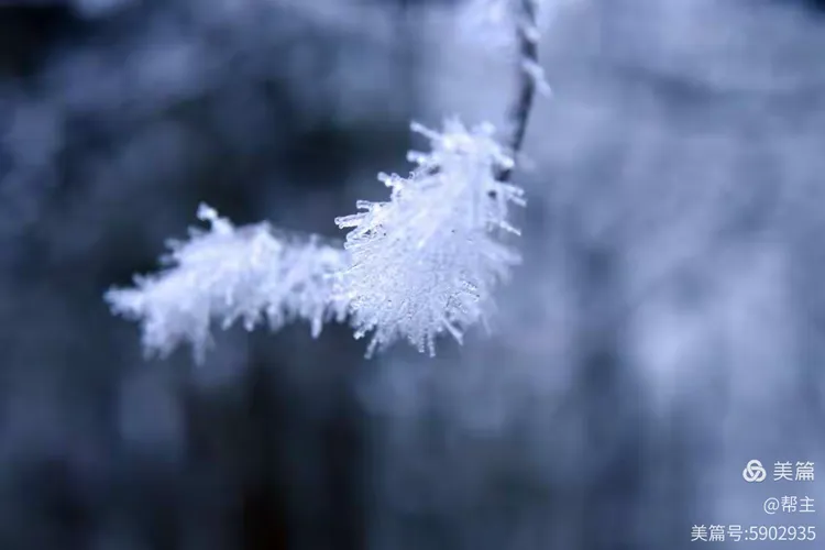 雪凝感怀